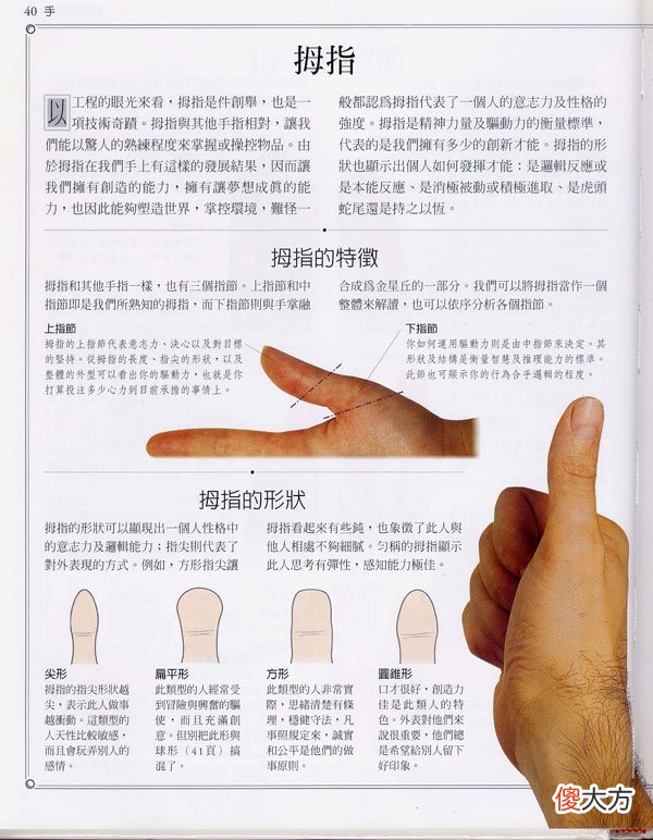 《手相学习百科》-拇指