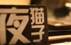 我们为什么要睡觉 我们为什么要睡觉在线阅读