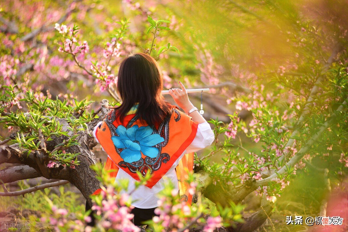 手机拍照效果不好 手机拍照效果不好怎么办