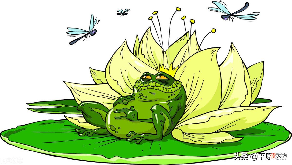 癞蛤蟆与青蛙 癞蛤蟆与青蛙的故事