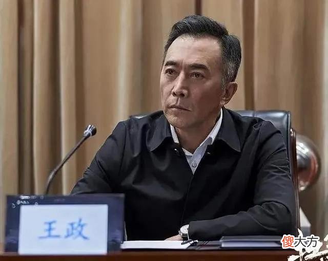 扫黑风暴：副市长武双岭是常务副省长王政提拔的吗