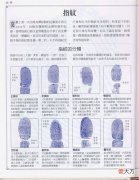 《手相学习百科》-指纹