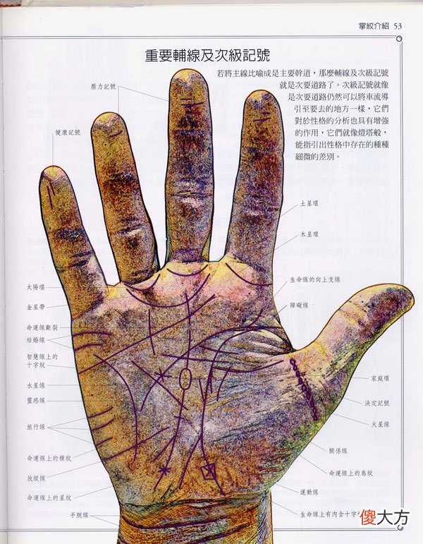 《手相学习百科》-掌纹介绍