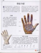 《手相学习百科》-掌纹介绍