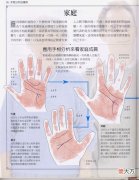《手相学习百科》-手相看家庭与遗传