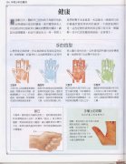 《手相学习百科》-手相健康记号