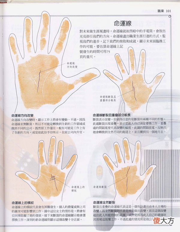 《手相学习百科》-手相看事业、职业