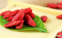 枸杞子是个好东西 什么样的枸杞子是好的