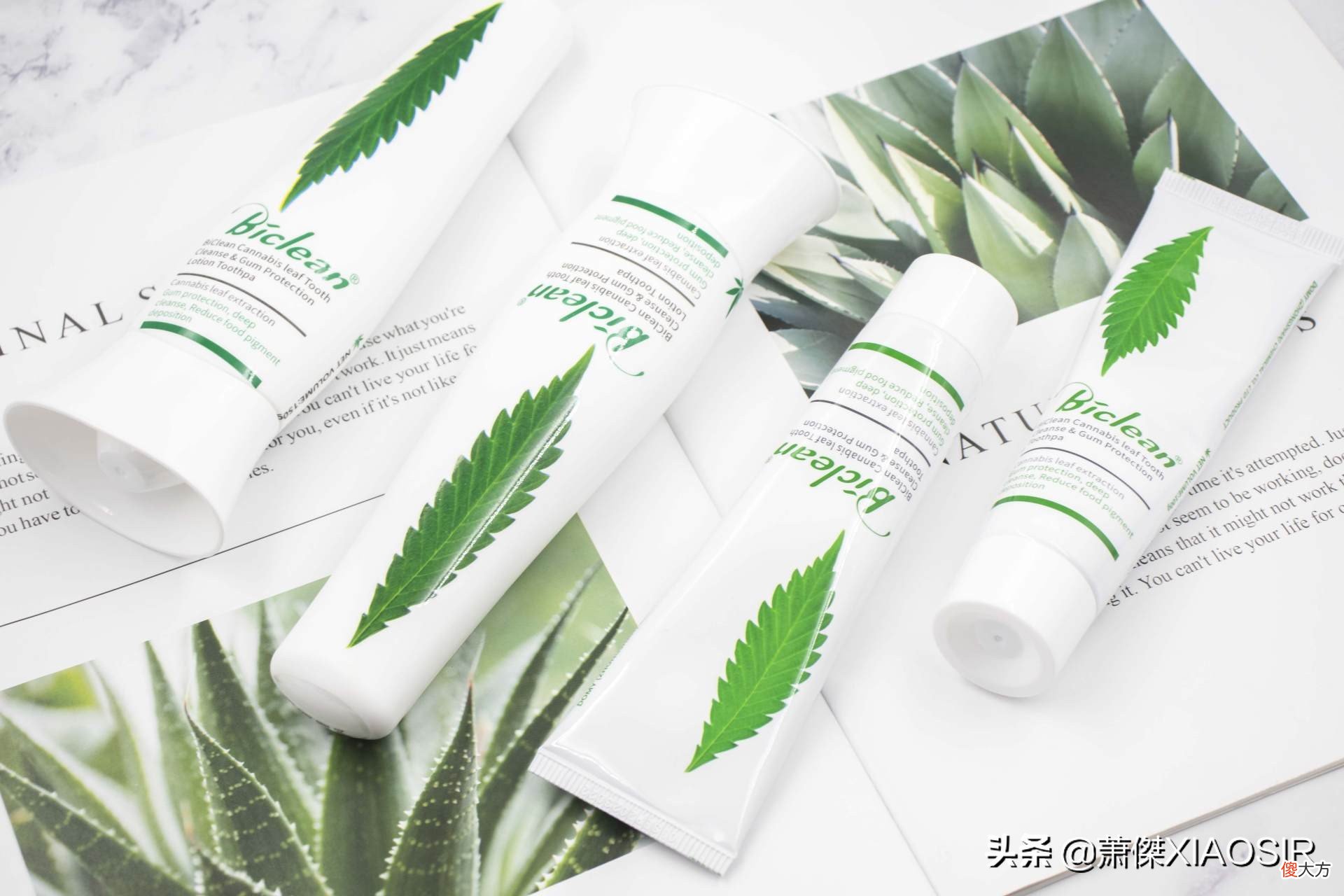 口腔护理过程要怎么选对牙膏 口腔护理用什么牙膏