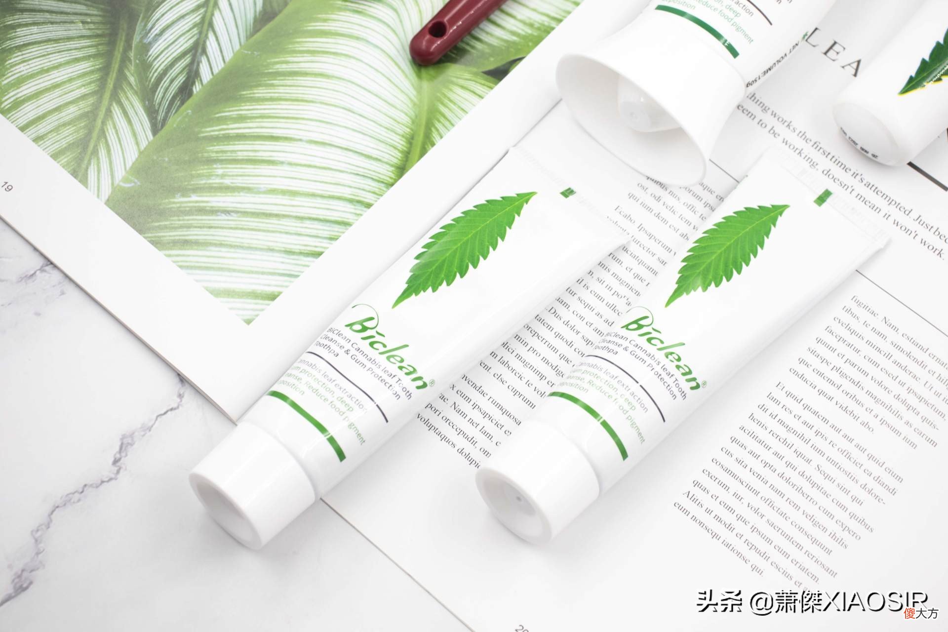 口腔护理过程要怎么选对牙膏 口腔护理用什么牙膏
