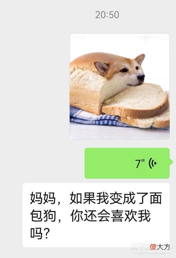 变成面包狗还爱我吗？无厘头新梗席卷长辈聊天框，回答让人泪目
