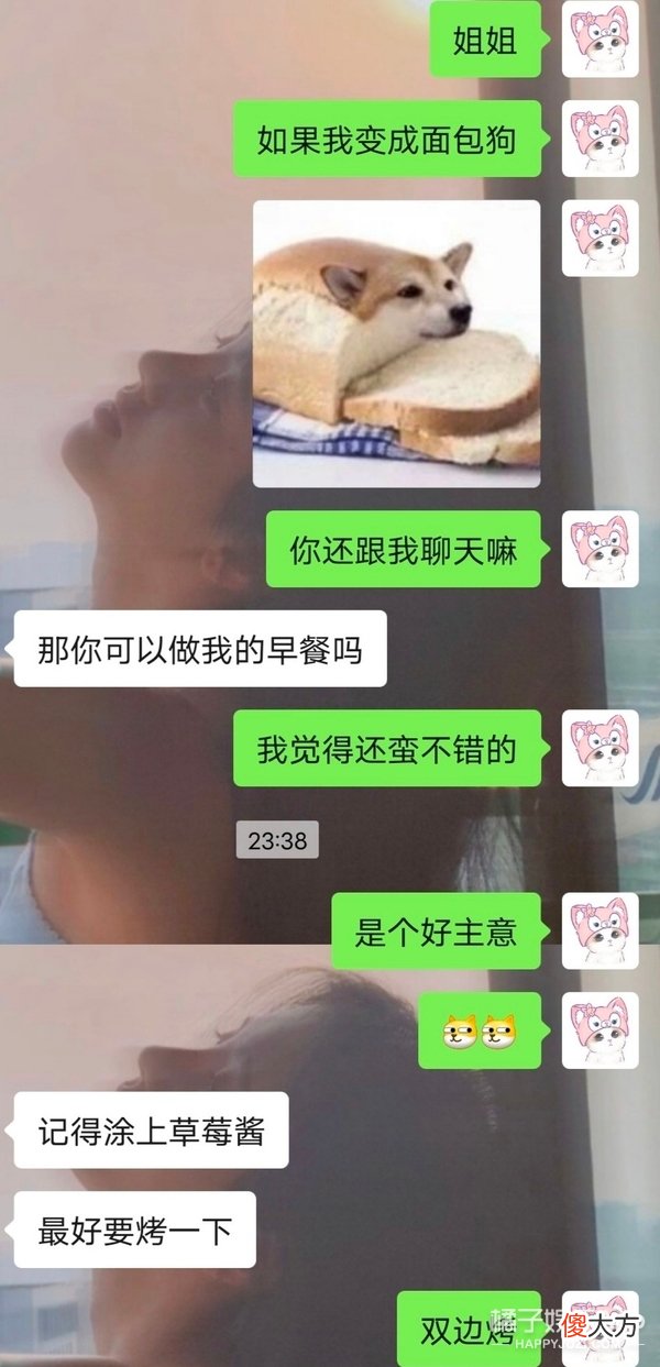 变成面包狗还爱我吗？无厘头新梗席卷长辈聊天框，回答让人泪目