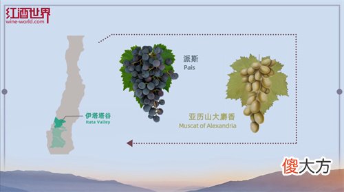 加盟红酒店有前景吗 红酒加盟需要投资多少钱