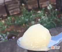 结晶蜂蜜有假的吗 结晶蜂蜜是假的吗