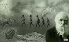 人类可以永生吗 理论上人类可以永生吗