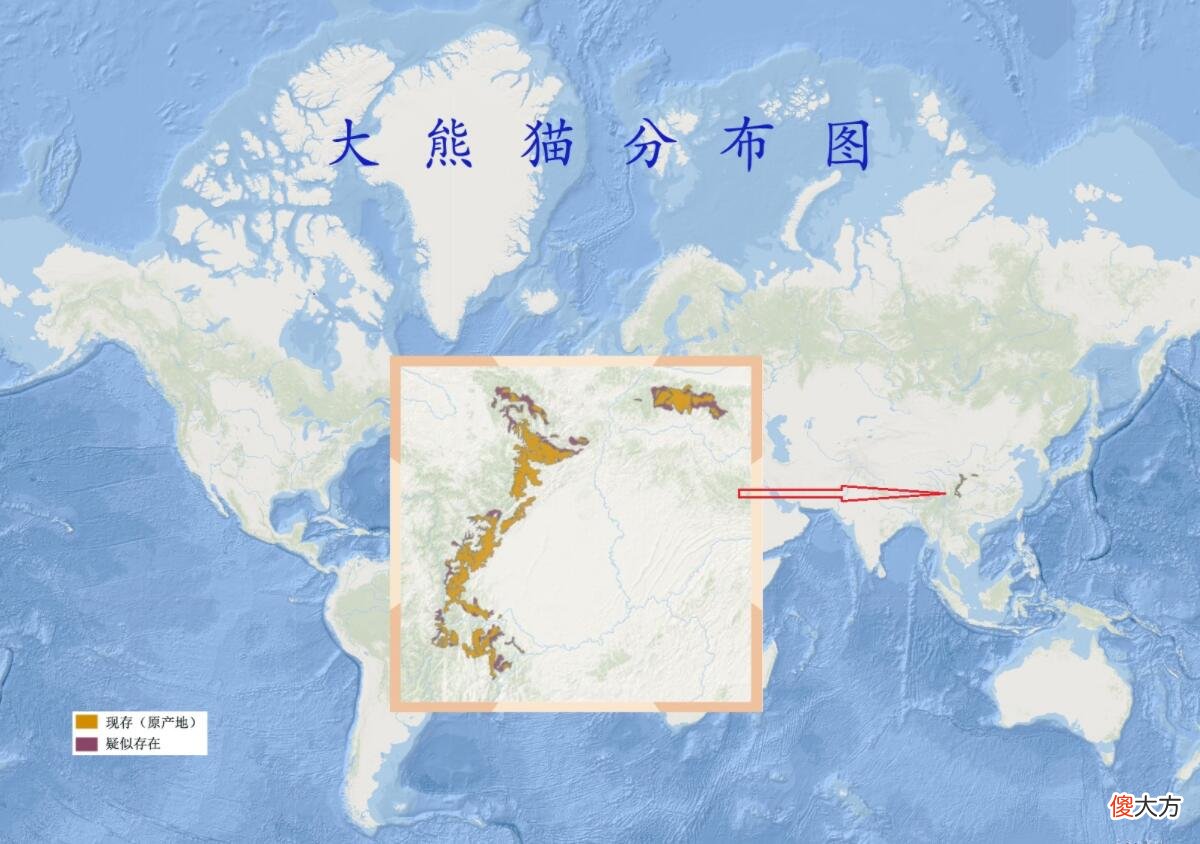 大熊猫数量增多 大熊猫的数量增多还是减少?