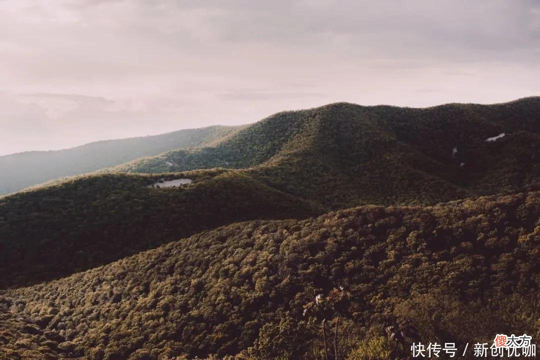 【十二星座】5月，出门撞喜运，事业运腾飞，将名利双收，美梦成真的三个生肖