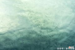 【十二星座】5月，出门撞喜运，事业运腾飞，将名利双收，美梦成真的三个生肖