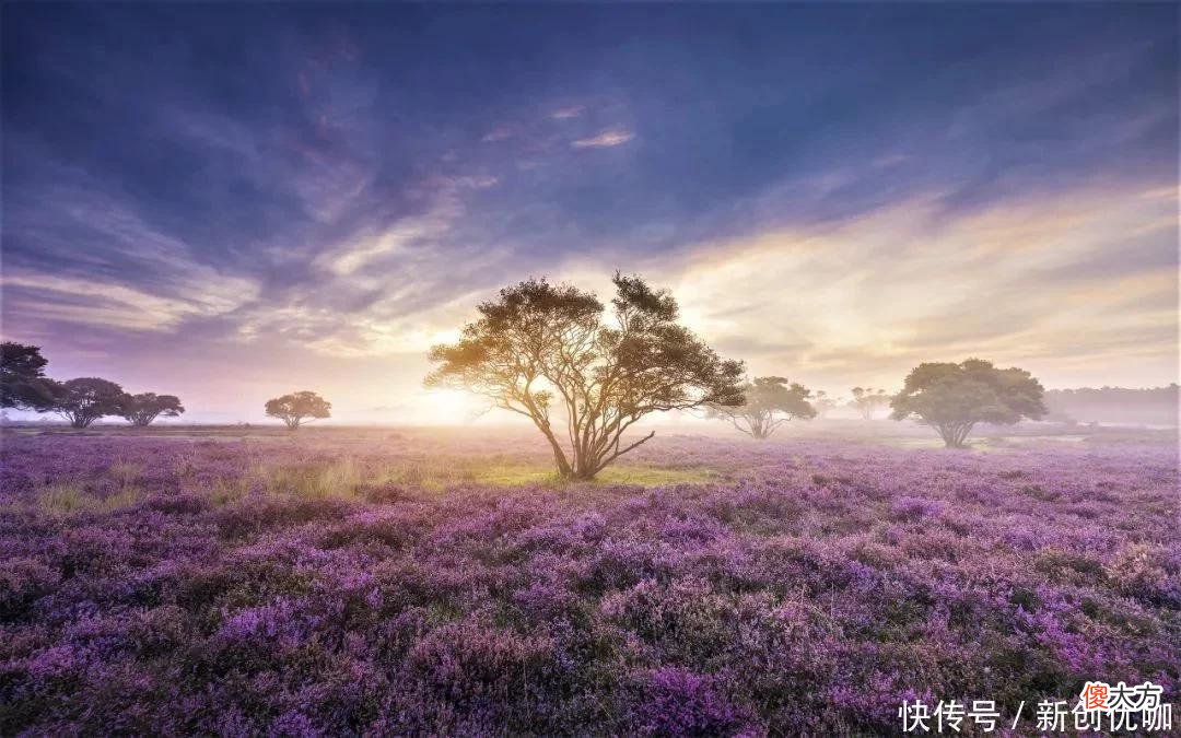 【星座控】2022年，爱情桃花重开，前任回头，言归于好，旧情复燃的三个生肖