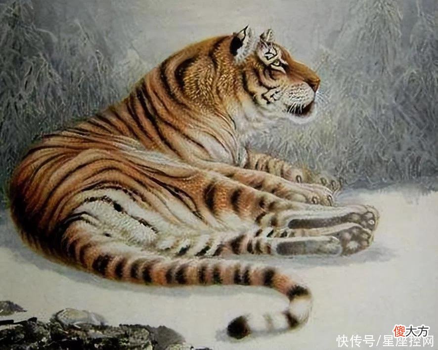 【十二星座】啥生肖好运不怕晚，事业基础稳固，做啥都顺心，福气绵延不绝