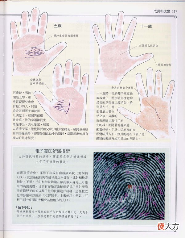 《手相学习百科》-手纹的成长与改变