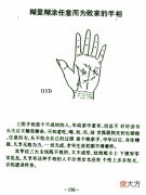 糊里糊涂任意而为败家的手相