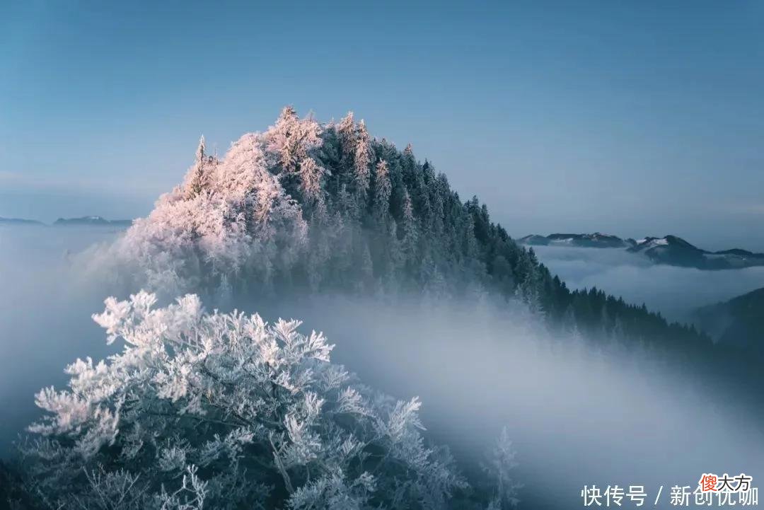 【星座控】富贵盈门！2022年，吉星眷顾，财神青睐，平安且富有的三个生肖