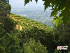 红酒加盟店一年赚多少钱 投资做红酒加盟生意需准备什么