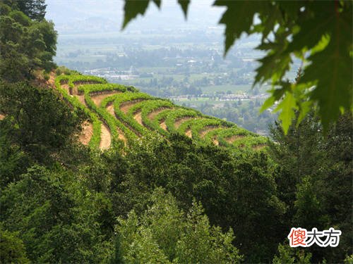 红酒加盟店一年赚多少钱 投资做红酒加盟生意需准备什么