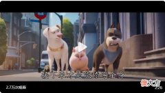 DC萌宠特遣队发布新中字版正式预告片| DC萌宠特遣队发布新中字版正式预告片