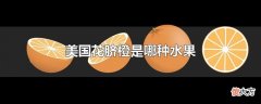 美国花脐橙是哪种水果| 美国花脐橙是哪种水果