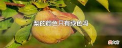 梨的颜色只有绿色吗| 梨的颜色只有绿色吗