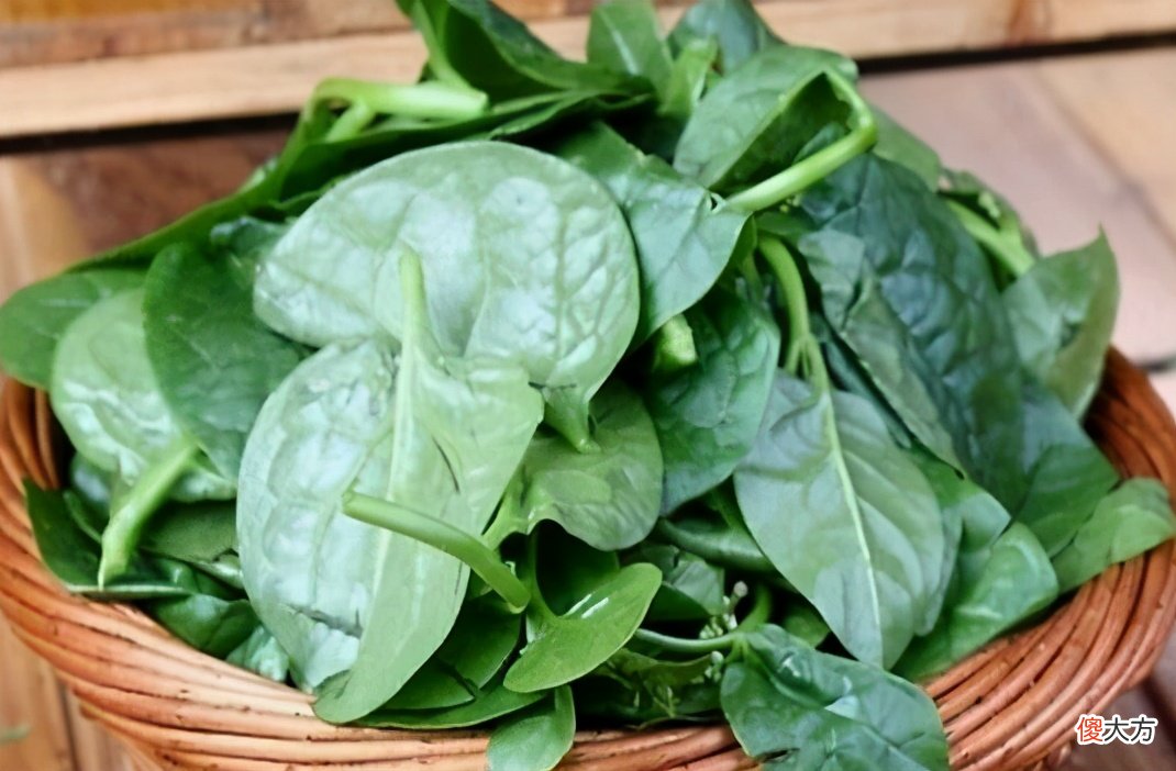 能吃又能观赏 可以食用又可以观赏