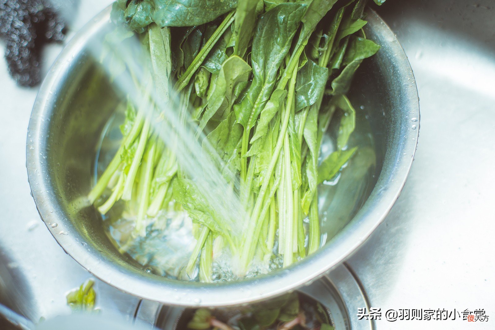 营养丰富做法简单的凉拌菠菜胡萝卜丝 菠菜胡萝卜丝干丝凉拌
