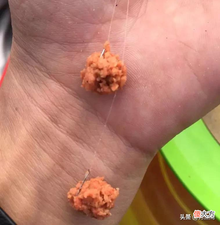饵料为什么要混搭 饵料为什么要搭配