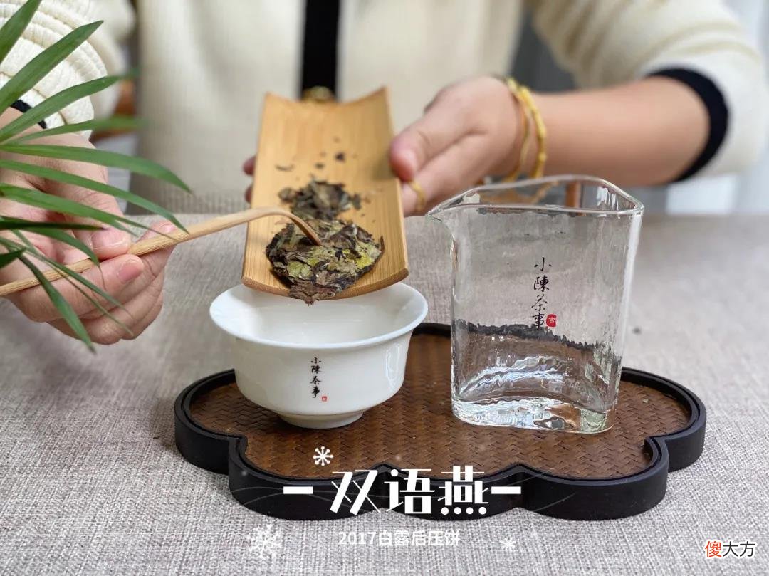 为什么白茶里有那么多香气 白茶为什么越放越香