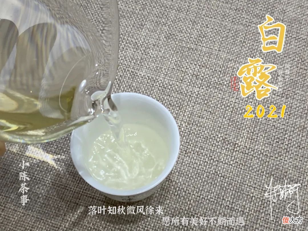两种茶有什么区别 各种茶有什么区别