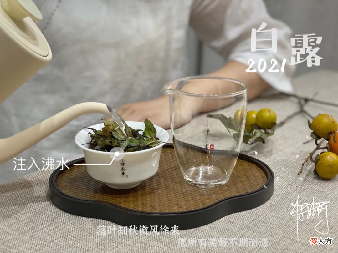 两种茶有什么区别 各种茶有什么区别