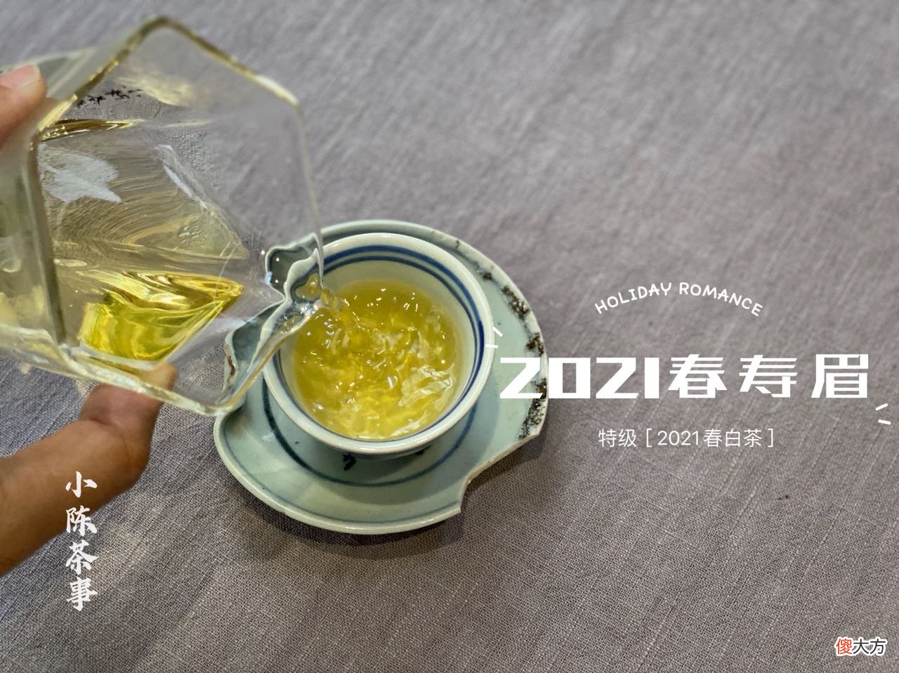 两种茶有什么区别 各种茶有什么区别
