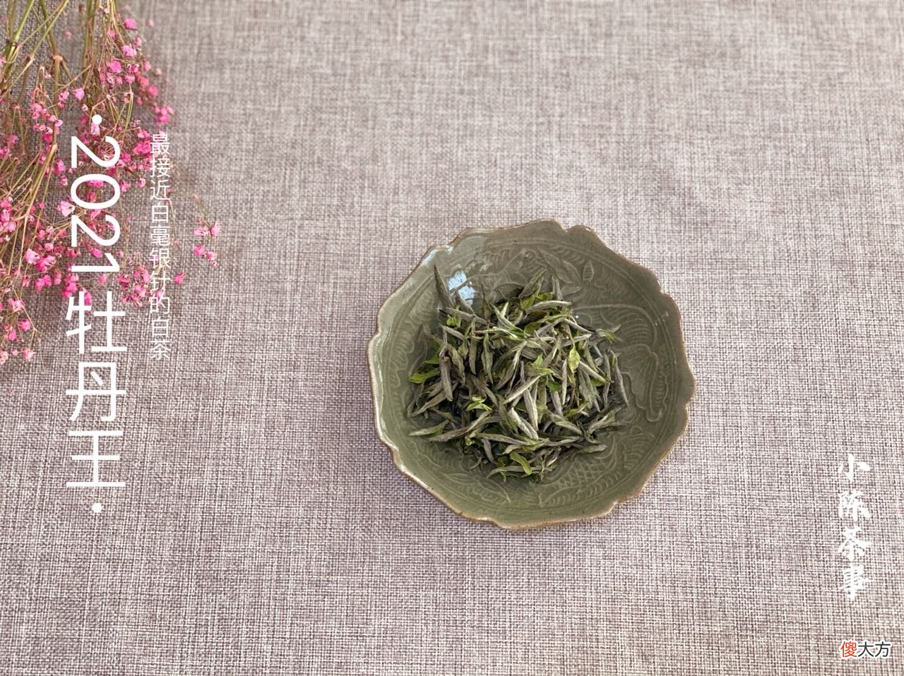 两种茶有什么区别 各种茶有什么区别
