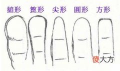 手指形状看性格与职业