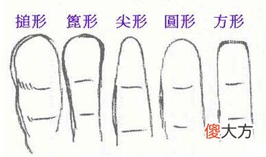 手指形状看性格与职业