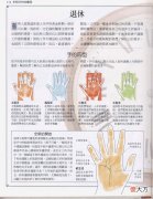 《手相学习百科》-手纹看退休