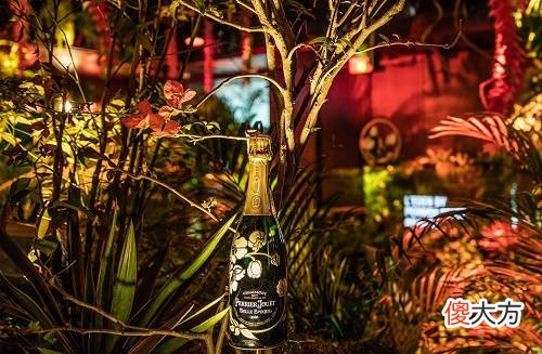 葡萄酒风格 葡萄酒配什么