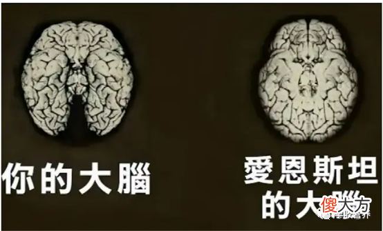 为什么说有些家长给孩子报了很多兴趣班，这完全是错误的？