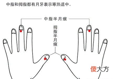 半月痕观健康图解