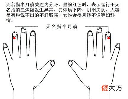 半月痕观健康图解