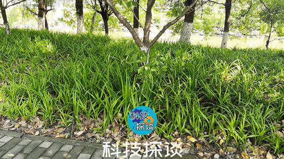 不再为拍摄Vlog发愁