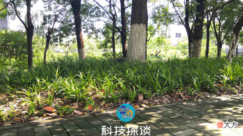 不再为拍摄Vlog发愁