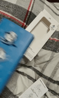 吉祥物冰墩墩能火到什么时候 冰墩墩是哪一年的吉祥物